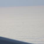 IMG_9839.JPG