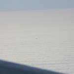IMG_9840.JPG