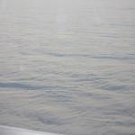 IMG_9842.JPG