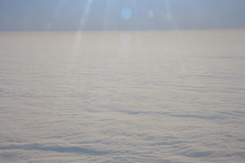 IMG_9843.JPG