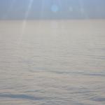 IMG_9843.JPG