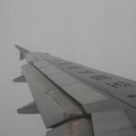 IMG_9848.JPG