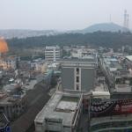 IMG_9861.JPG