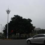 IMG_9871.JPG