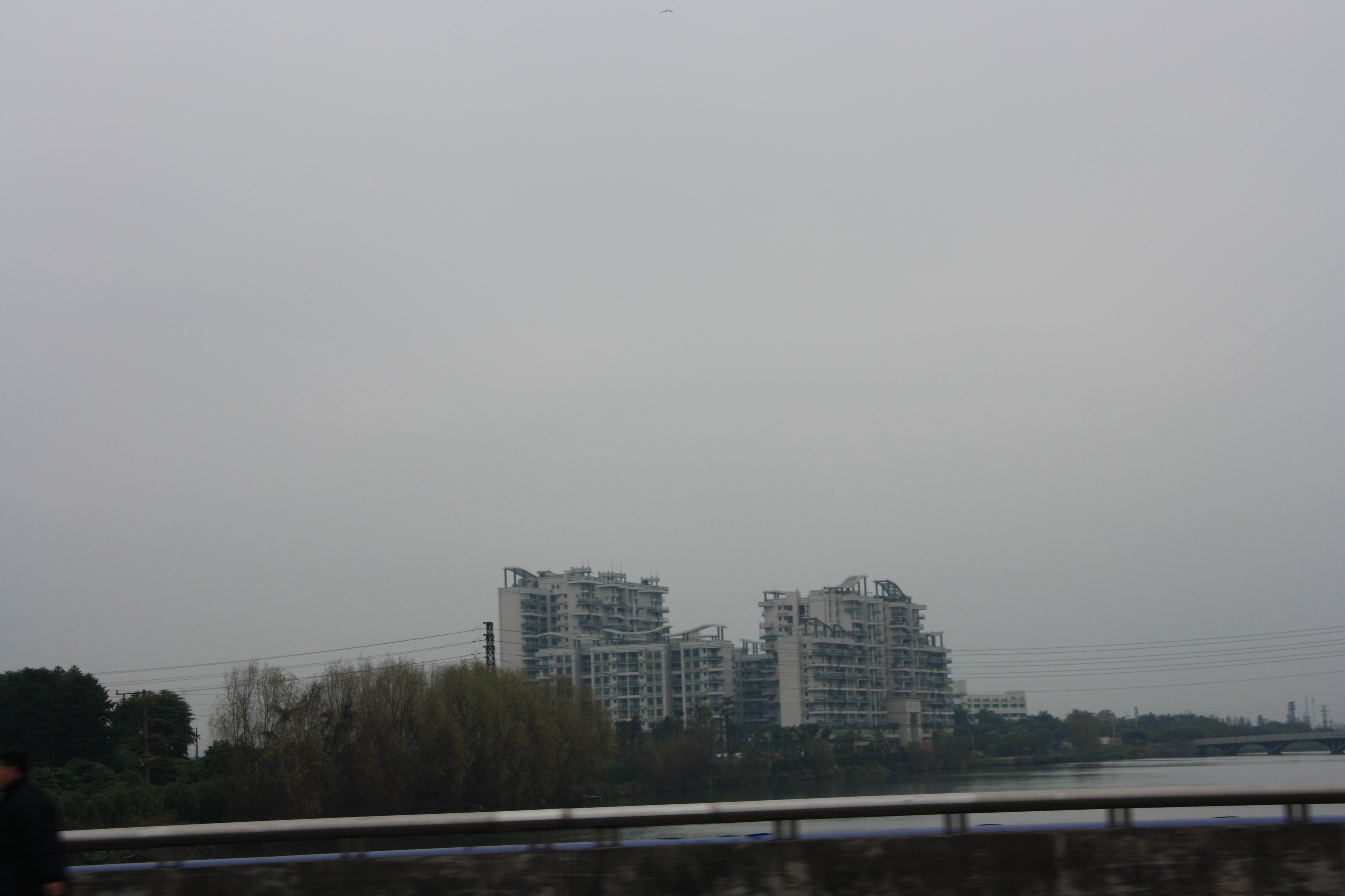IMG_9883.JPG