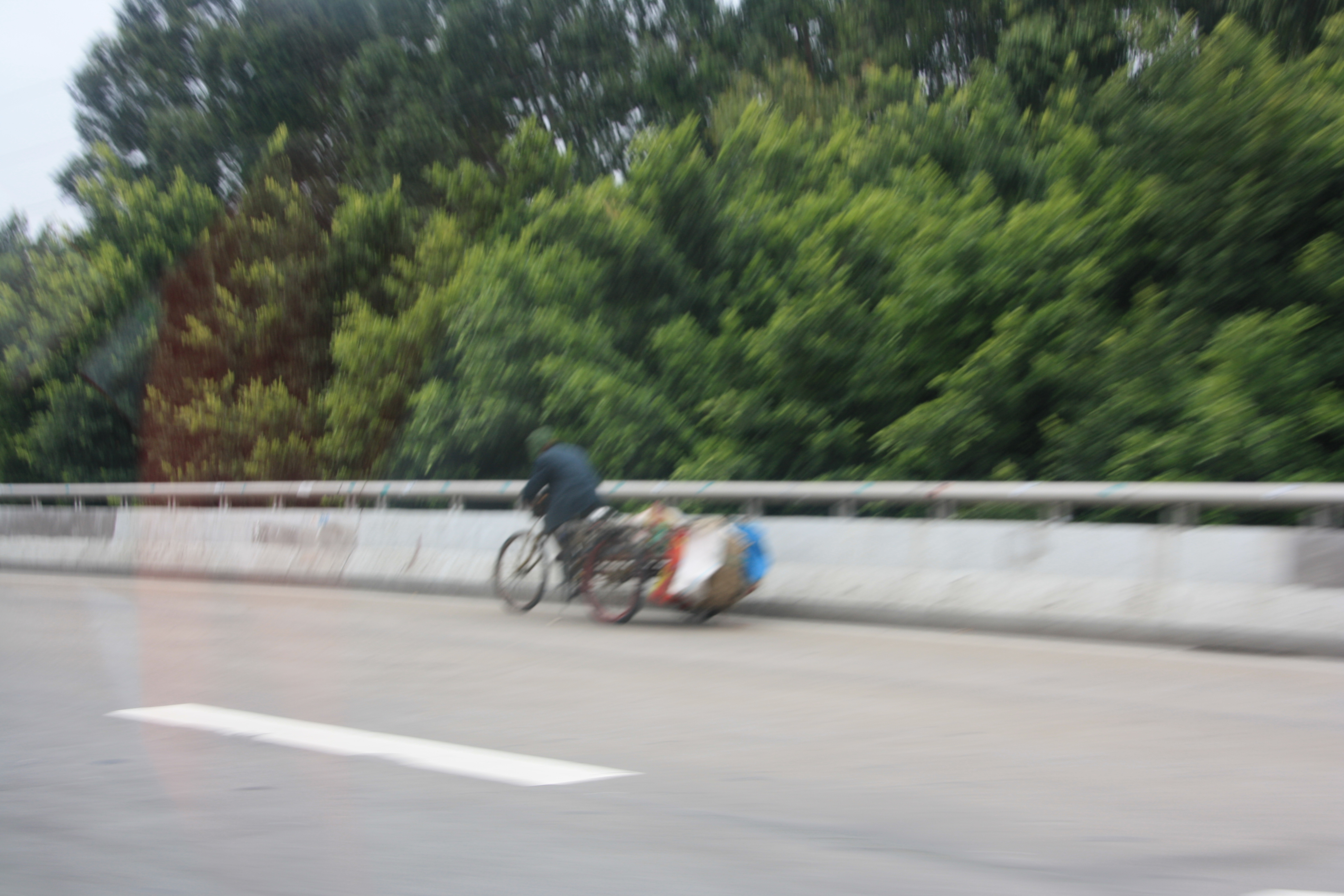 IMG_9888.JPG