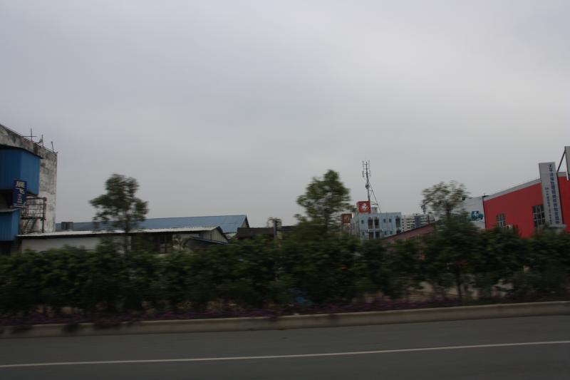 IMG_9889.JPG