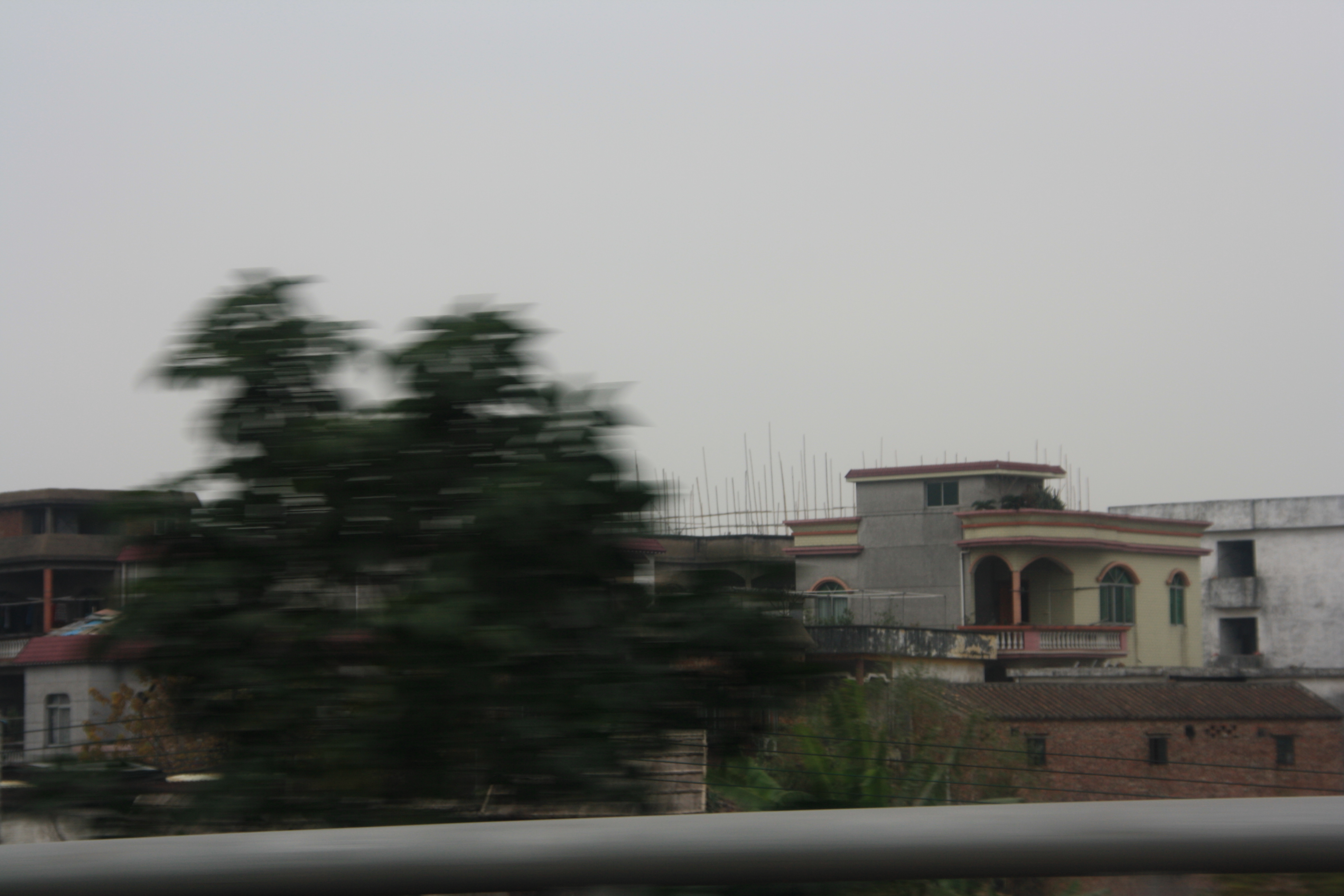 IMG_9898.JPG