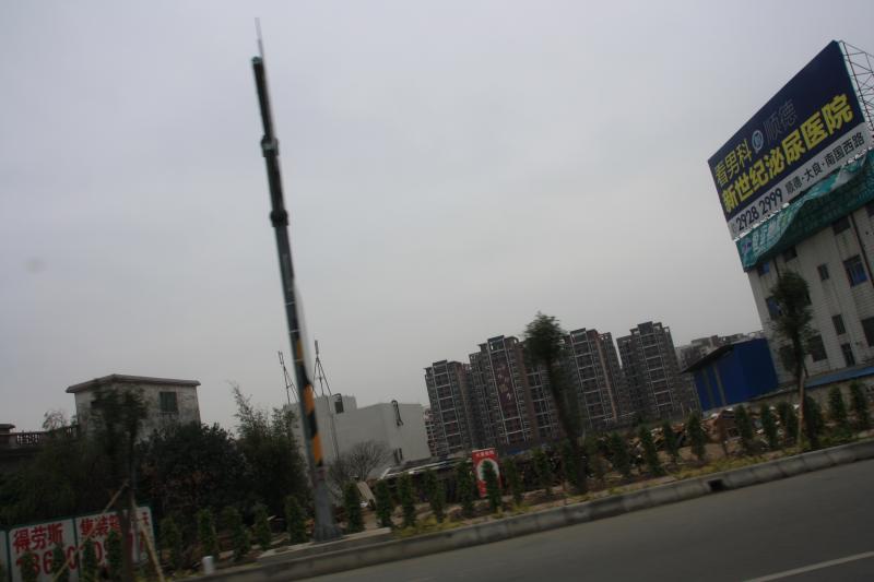 IMG_9901.JPG